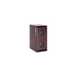 PSI AUDIO SUB A225M