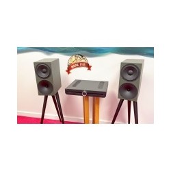 Système ROKSAN Attessa + Buchardt P300